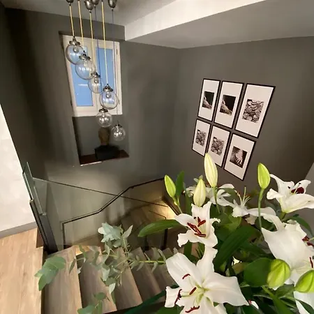 Boutique Teatro מאלגה